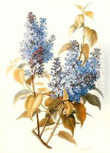 A branch of lilac by Pauline Girardin