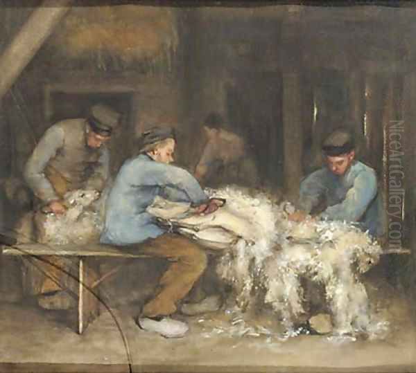 Sheep shearing - view 1