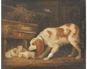A spaniel with her pups in a barn