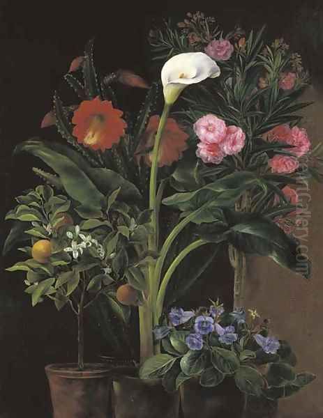 An Orange Tree, Streptocarpus, Oleander, a Calla Lily and Cactus Flowers - view 1