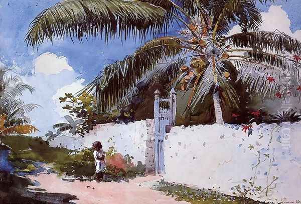A Garden in Nassau - view 1