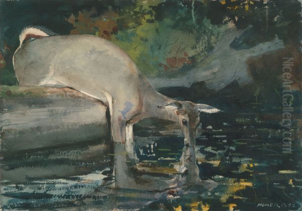Deer Drinking - view 1