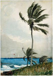 Palm Tree, Nassau