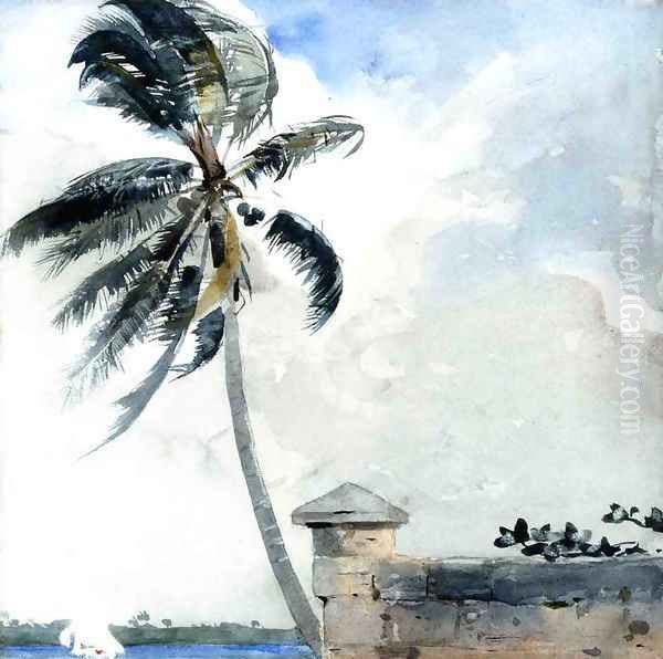 A Tropical Breeze, Nassau - view 1