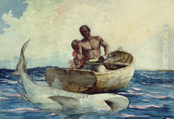 Shark Fishing - view 1