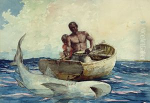 Shark Fishing