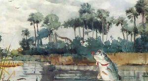 Black Bass, Florida