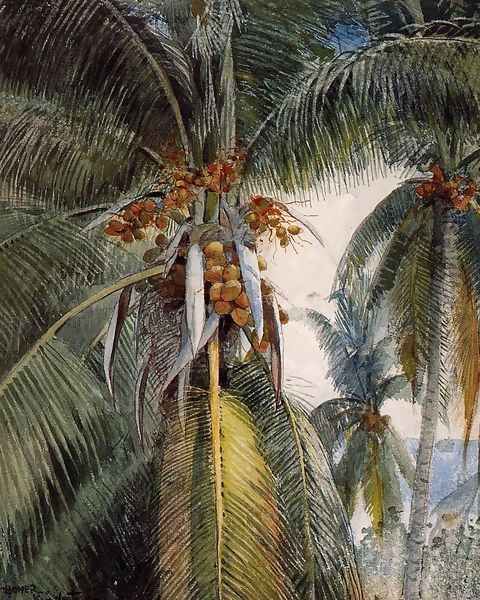 Coconut Palms, Key West - view 1