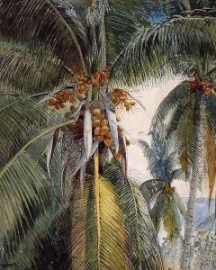 Coconut Palms, Key West