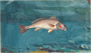 Channel Bass