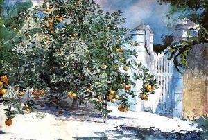 Orange Tree, Nassau (or Orange Trees and Gate)