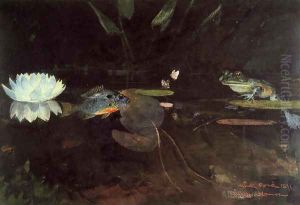 Mink Pond