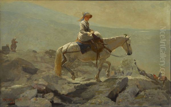 The Bridle Path, White Mountains - view 1