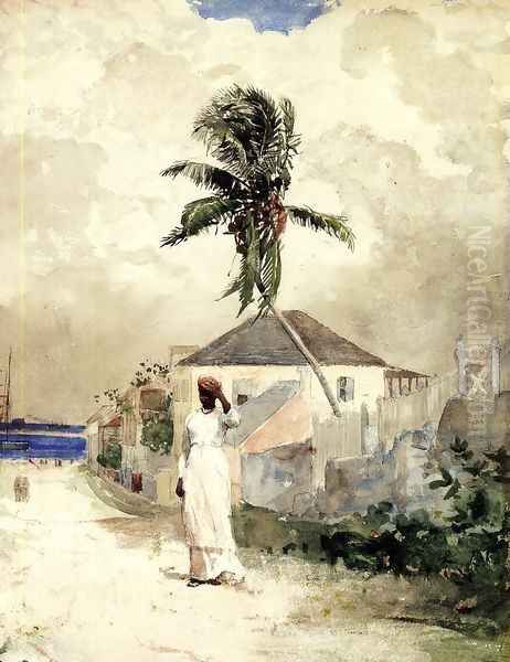 Along the Road, Bahamas - view 1