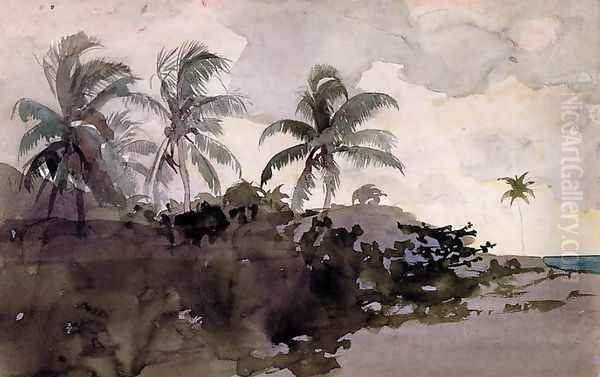 Coconut Palms - view 1