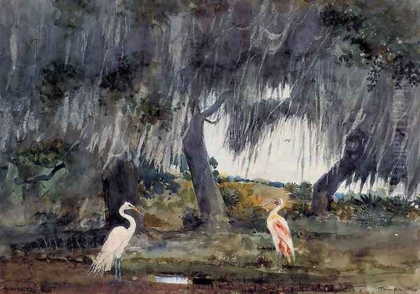 At Tampa - view 1