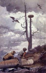 Osprey's Nest by Winslow Homer