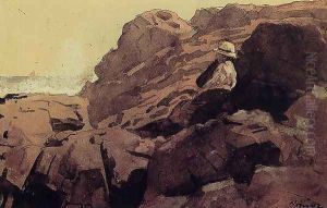 Boy on the Rocks by Winslow Homer