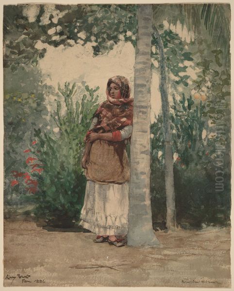 Under a Palm Tree - view 1
