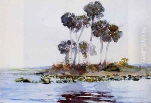 St. John's River, Florida I by Winslow Homer