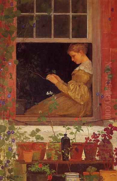 Morning Glories - view 1