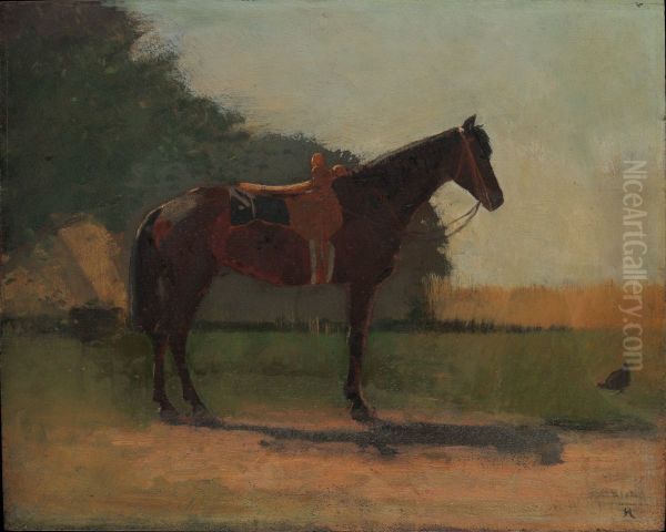 Saddle Horse in Farm Yard - view 1
