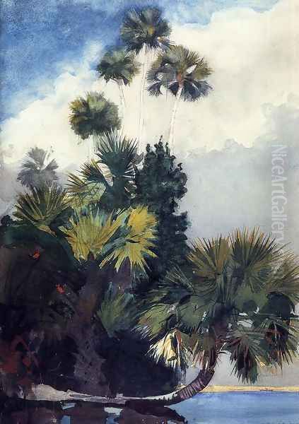 Palm Trees, Florida - view 1