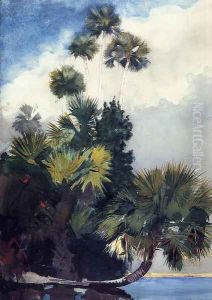 Palm Trees, Florida by Winslow Homer