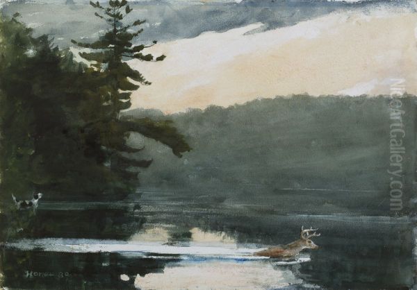 Deer in the Adirondacks - view 1