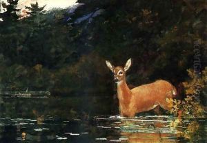 Solitude by Winslow Homer