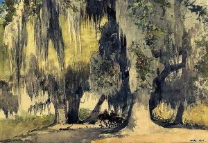 Live Oaks Live Oaks