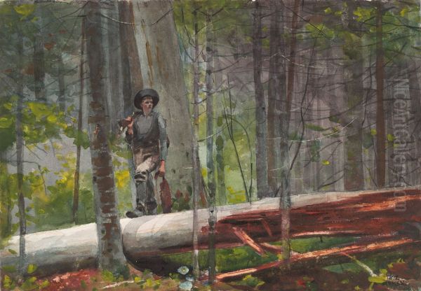 Hunter in the Adirondacks - view 1