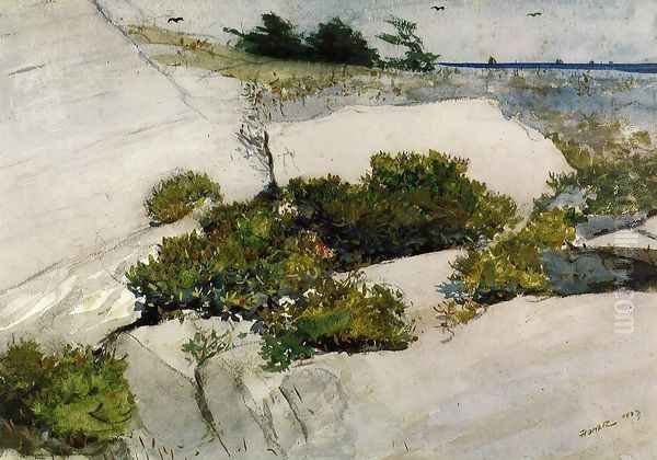 Maine Cliffs - view 1