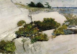 Maine Cliffs by Winslow Homer