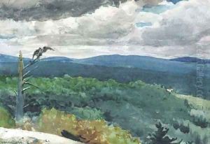 Hilly Landscape