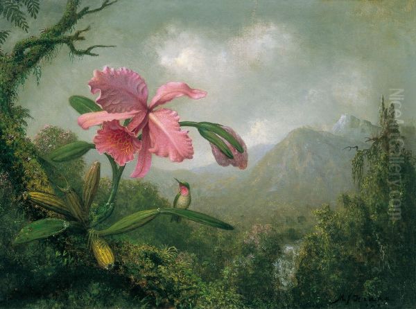 Orchid And Hummingbird Near A Mountain Waterfall - view 1