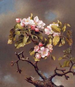 Branch Of Apple Blossoms Against A Cloudy Sky by Martin Johnson Heade