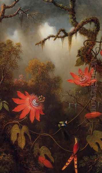 Two Hummingbirds Perched On Passion Flower Vines - view 1