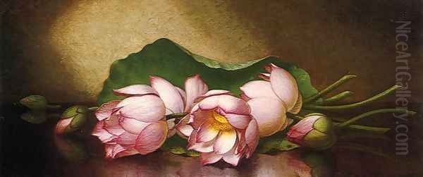 Egyptian Lotus Blossom - view 1