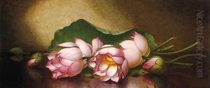 Egyptian Lotus Blossom by Martin Johnson Heade
