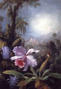 Orchids Passion Flowers And Hummingbird
