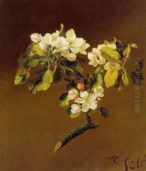 A Spray Of Apple Blossoms - view 1