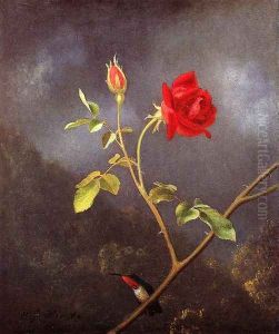 Red Rose With Ruby Throat by Martin Johnson Heade
