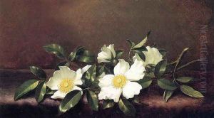 Cherokee Roses On A Purple Velvet Cloth by Martin Johnson Heade