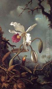 White Brazilian Orchid by Martin Johnson Heade
