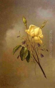 White Rose Against A Cloudy Sky by Martin Johnson Heade