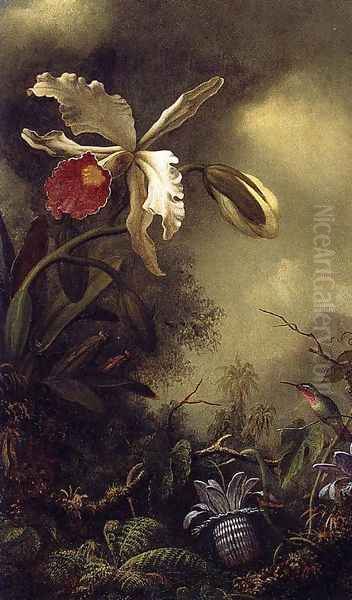 White Orchid And Hummingbird - view 1