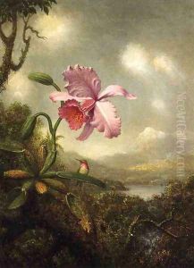 Hummingbird And Orchid Sun Breaking Through The Clouds