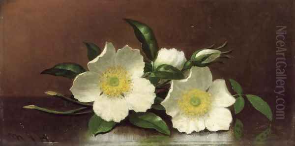 Two Cherokee Rose Blossoms On A Table Aka Cherokee Roses - view 1