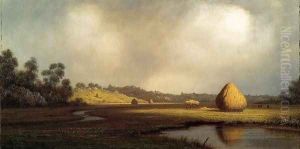 Salt Marshes Newburyport Massachusetts by Martin Johnson Heade